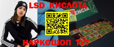 a pvp Краснодар