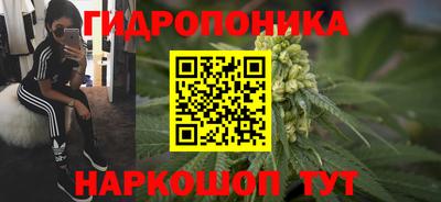 a pvp Краснодар