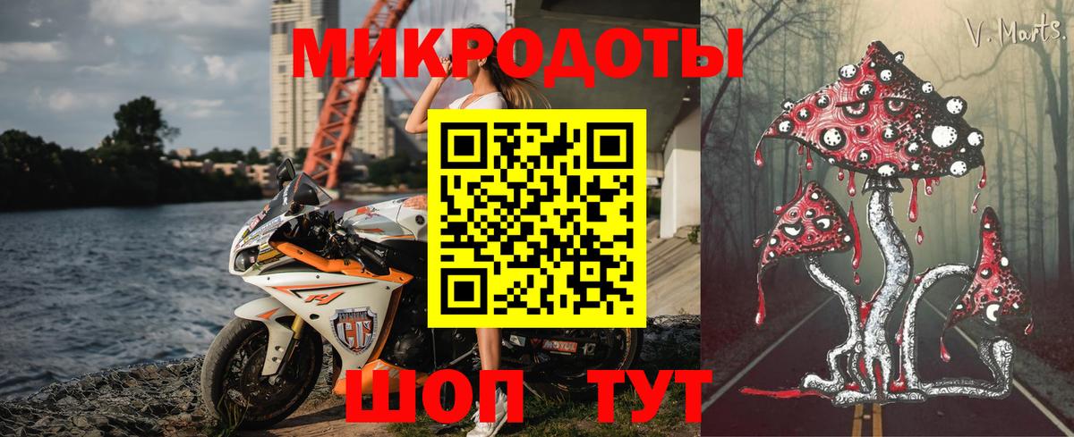 Махачкала  Галлюциногенные грибы Cubensis  Вход с VPN 