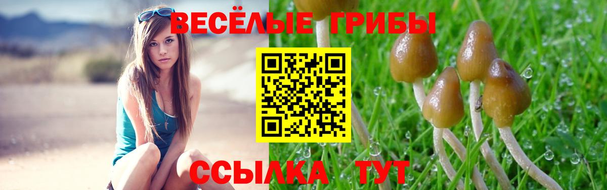 Галлюциногенные грибы прущие грибы Махачкала